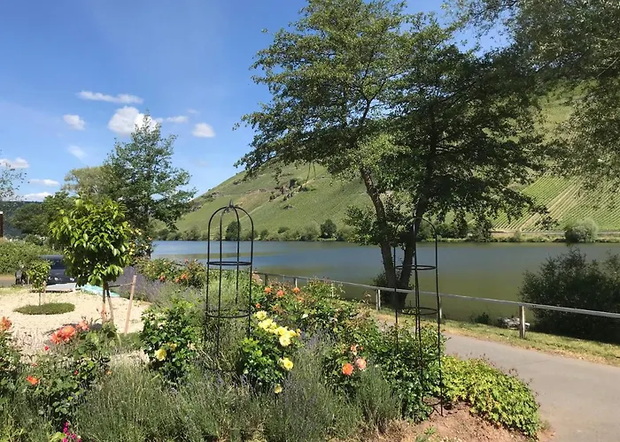 Ferienhaus Moselglueck - Kostenlose Oepnv-nutzung Inbegriffen * Bernkastel-Kues